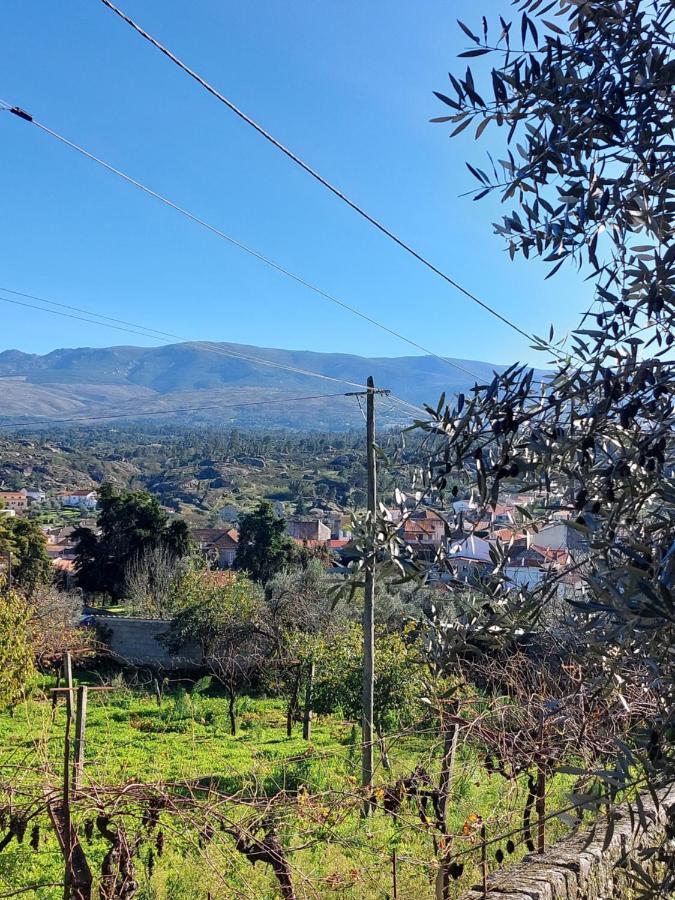 Casa Das Cortes - Serra Da Estrela Διαμέρισμα Gouveia  Εξωτερικό φωτογραφία