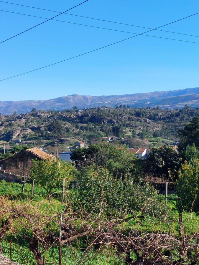 Casa Das Cortes - Serra Da Estrela Διαμέρισμα Gouveia  Εξωτερικό φωτογραφία