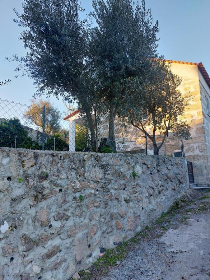Casa Das Cortes - Serra Da Estrela Διαμέρισμα Gouveia  Εξωτερικό φωτογραφία